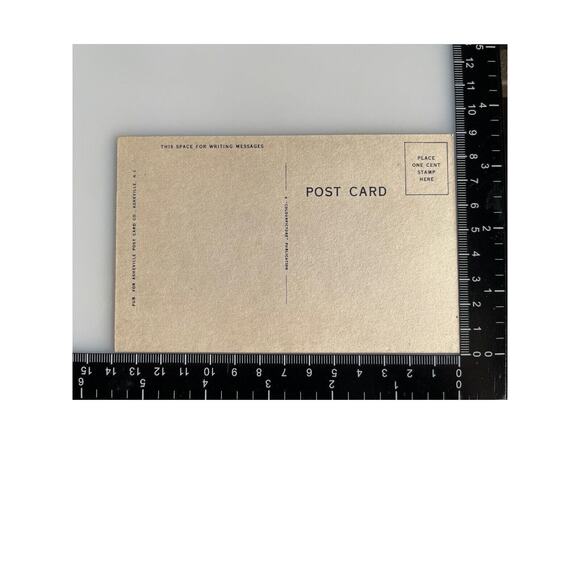 Antique Litho Postcard 1920s Humorous Twin Girls Boy Jump Colorful Asheville Co - Picture 5 of 5